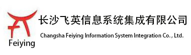 长沙飞英信息系统集成有限公司